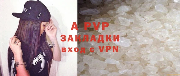 стафф Богородицк