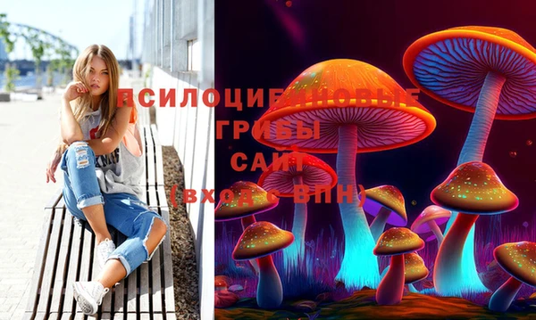 MDMA Богородск