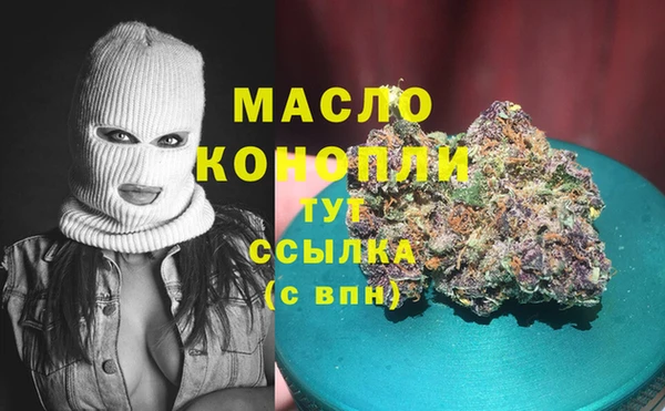 гидра Верхний Тагил