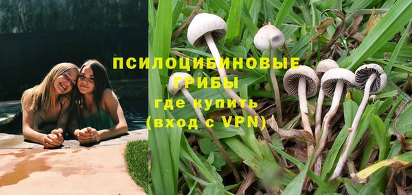 соль ск Бронницы