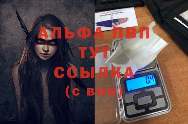 стафф Богородицк