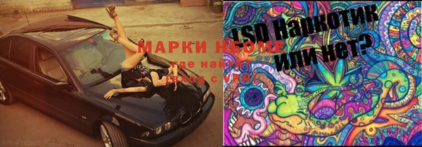прущие крисы Бородино