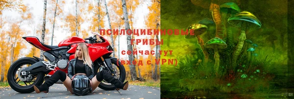 дживик Богданович