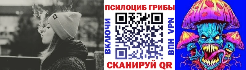 где можно купить   Старица  Галлюциногенные грибы Magic Shrooms 